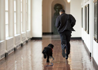 (AP Photo/Pete Souza, White House, File)