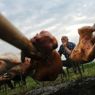 Il boom della braciola d'agnello (NIKOLAY DOYCHINOV/AFP/Getty Images) 
